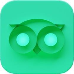 Tripadvisor icon