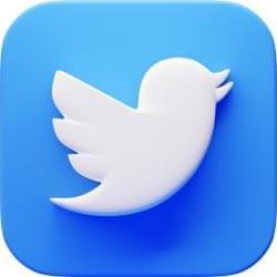 Twitter icon