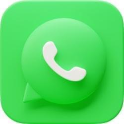 Whatsapp icon